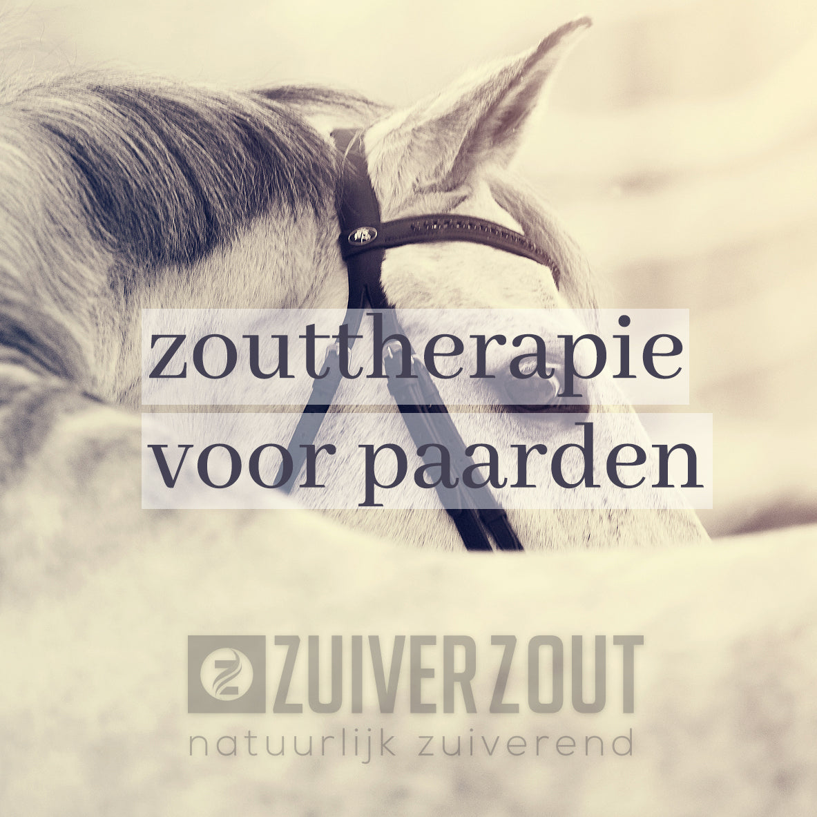 Zouttherapie Paarden